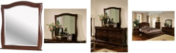 Furniture of America Adhammer Transitional Mirror